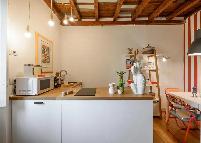 Daire Garibaldi - 7sundays